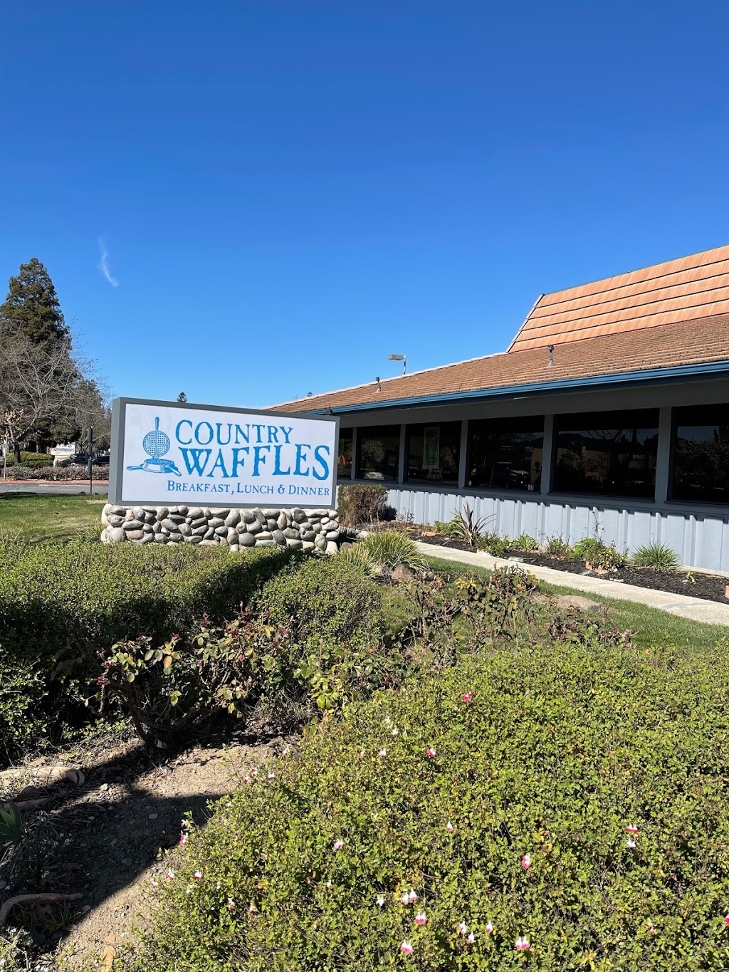 Country Waffles | restaurant | 15900 Monterey Rd, Morgan Hill, CA 95037, USA | 4082703900 OR +1 408-270-3900