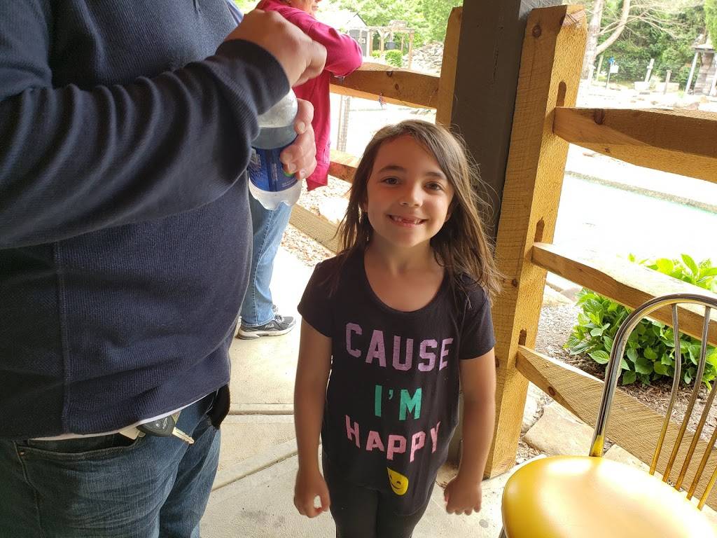 Sundae Fundays | restaurant | 25145 Royalton Rd, Columbia Station, OH 44028, USA | 4402363663 OR +1 440-236-3663