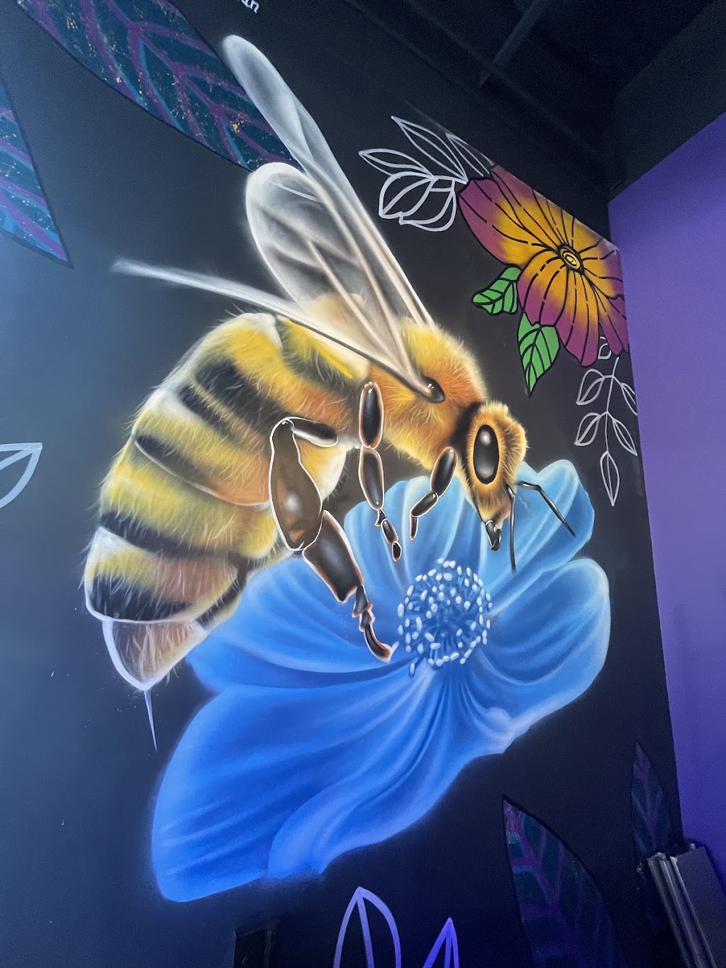 Wandering Donkey Taqueria & Tequila Bar | restaurant | 10121 E Bell Rd Suite 150, Scottsdale, AZ 85260, USA | 4804141212 OR +1 480-414-1212