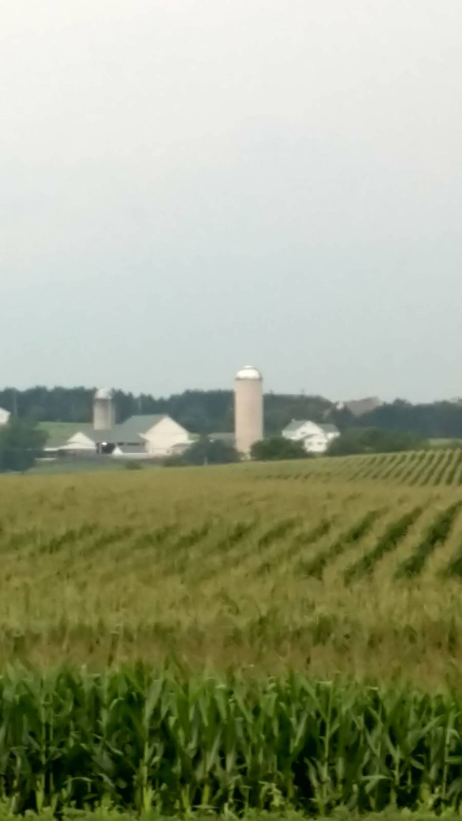 Rich Valley Golf | restaurant | 227 Rich Valley Rd, Mechanicsburg, PA 17050, USA | 7176918805 OR +1 717-691-8805