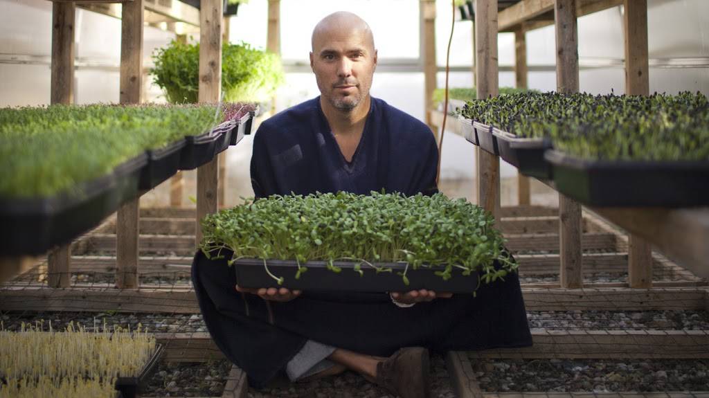 Life Field Gardens | restaurant | 3329 Bath Heights Dr, Cuyahoga Falls, OH 44223, USA | 3303886201 OR +1 330-388-6201