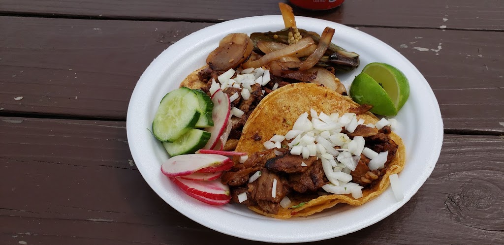 El Parian 2 | restaurant | 1120 Springwells St, Detroit, MI 48209, USA | 3136760260 OR +1 313-676-0260