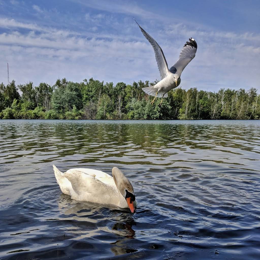 Toronto Island Marina | restaurant | 1 Avenue of the Island, Toronto, ON M5J 2W2, Canada | 4162031055 OR +1 416-203-1055