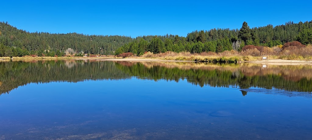 Cougar Mountain Lodge | restaurant | 9738 ID-55, Cascade, ID 83611, USA | 2083824464 OR +1 208-382-4464