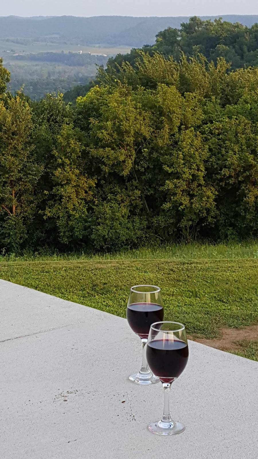 Larrys Lookout | restaurant | S2428 WI-95, Arcadia, WI 54612, USA | 6083231007 OR +1 608-323-1007