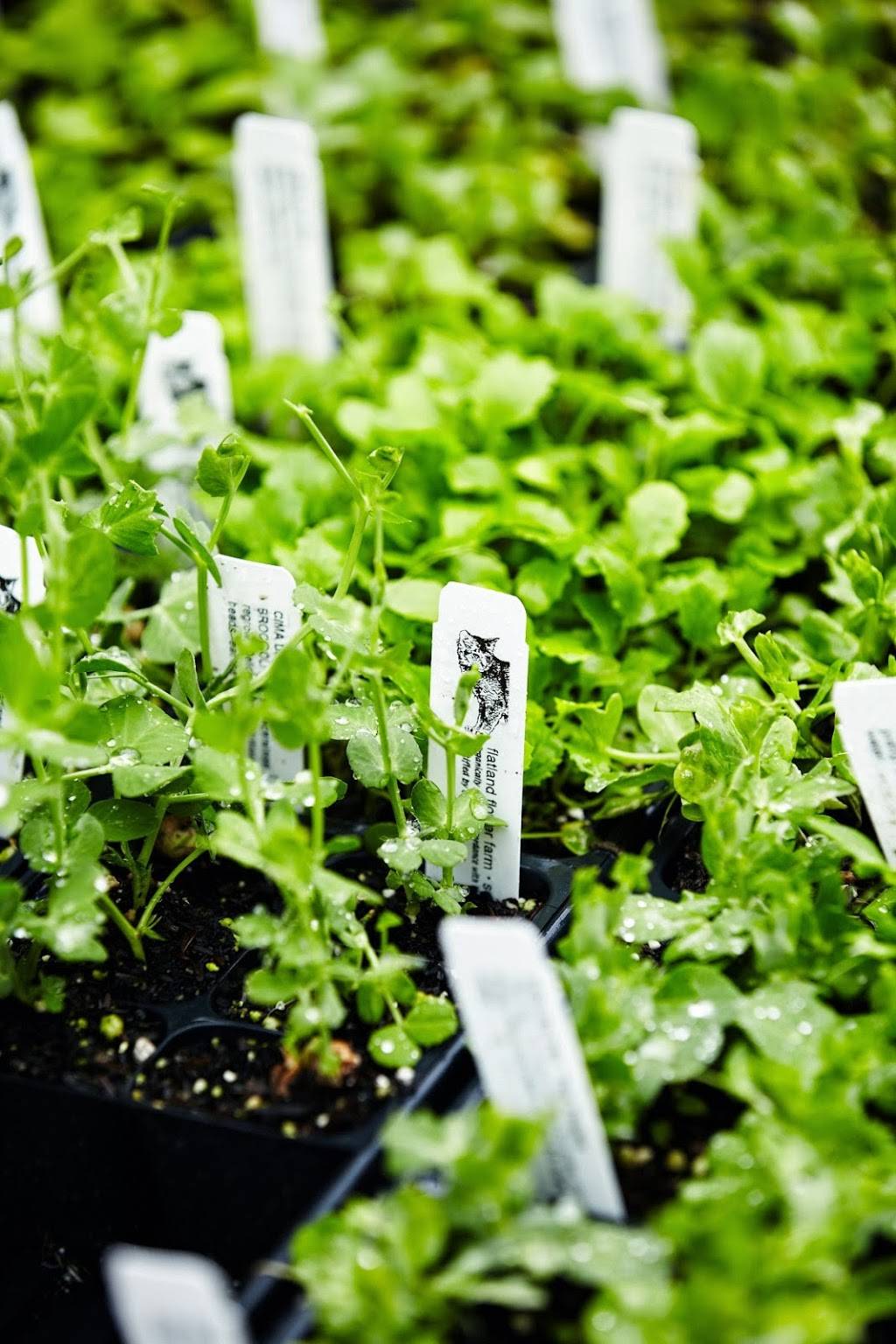 Pollinate Farm & Garden | restaurant | 2727 Fruitvale Ave, Oakland, CA 94601, USA | 5106863493 OR +1 510-686-3493