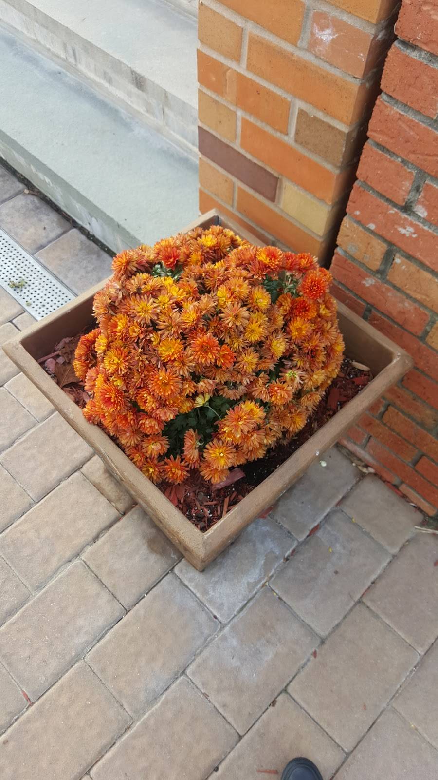 Masagana Enterprises Inc | restaurant | 80 Franklin St, Belleville, NJ 07109, USA | 9737591449 OR +1 973-759-1449