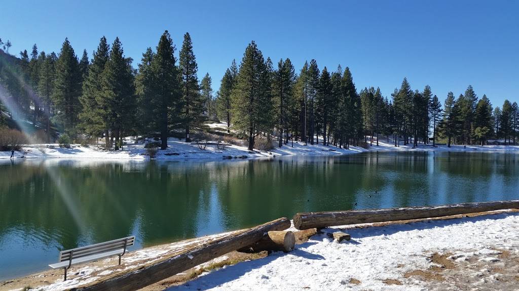 Malt Shoppe At the Cabin Fever | restaurant | 33249 Green Valley Lake Rd, Green Valley Lake, CA 92341, USA | 9099390515 OR +1 909-939-0515