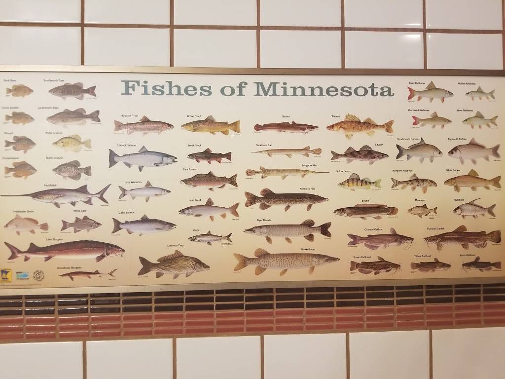 Blue Ox Tavern | restaurant | 5825 W Sahara Ave Ste A, Las Vegas, NV 89146, USA | 7028712536 OR +1 702-871-2536