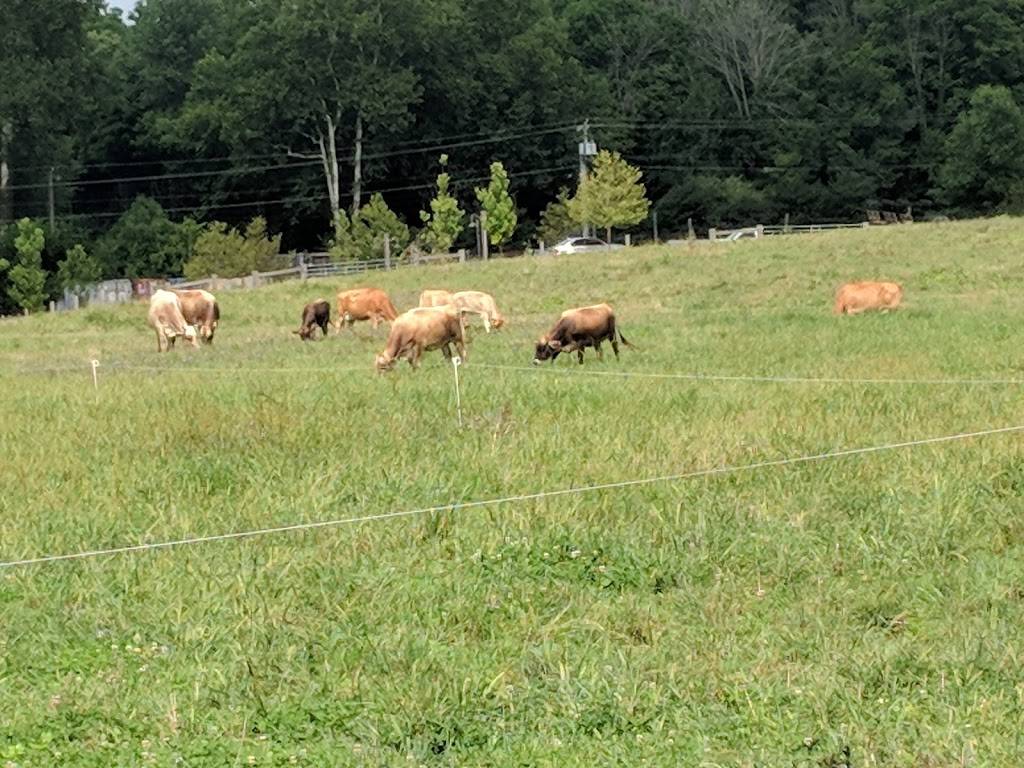 Traders Point Creamery | restaurant | 9101 Moore Rd, Zionsville, IN 46077, USA | 3177331700 OR +1 317-733-1700