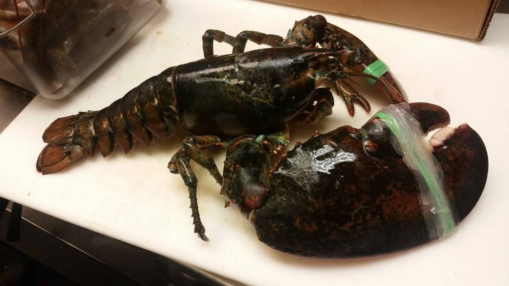 Mussel Bar & Grille | restaurant | 7262 Woodmont Ave, Bethesda, MD 20814, USA | 3012157817 OR +1 301-215-7817