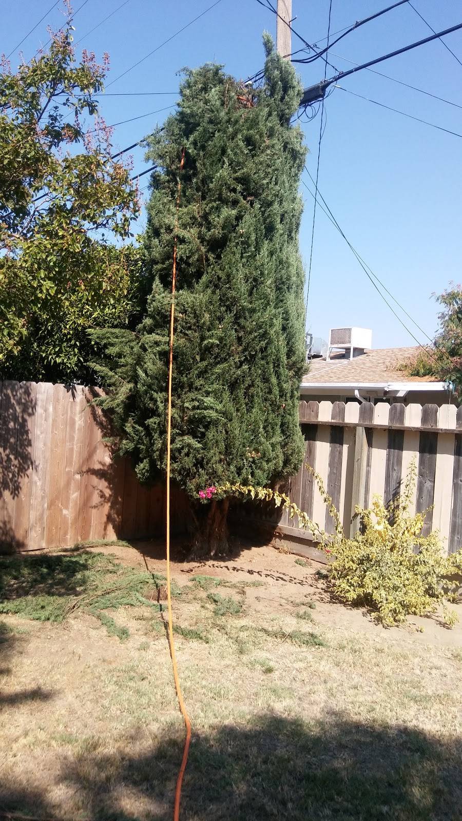 Granite Park | restaurant | 3950-3978 N Cedar Ave, Fresno, CA 93726, USA | 5593751003 OR +1 559-375-1003