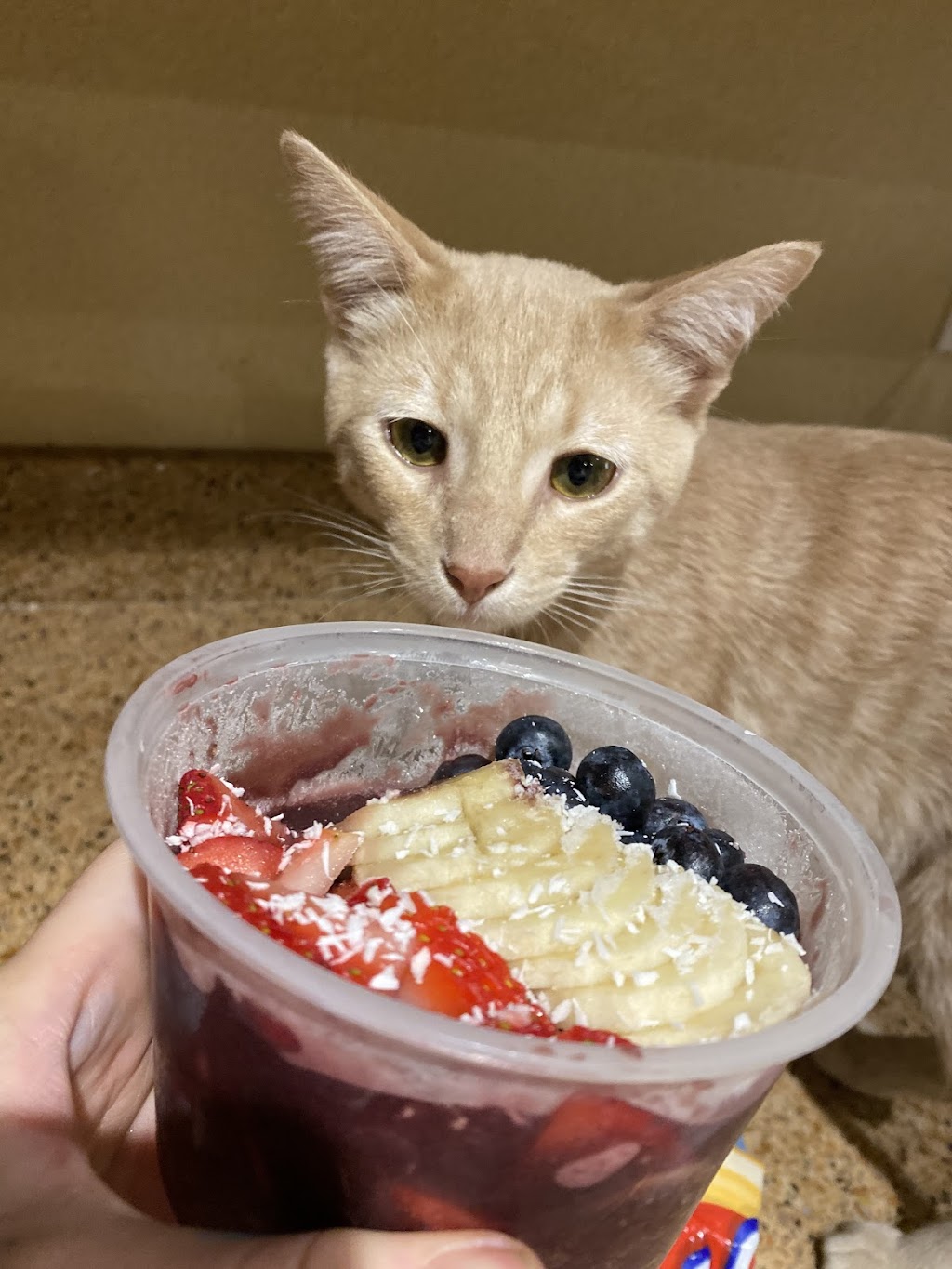 Big Acai Bowl - Glendale | restaurant | 14021 N 51st Ave #107, Glendale, AZ 85306, USA | 5156571209 OR +1 515-657-1209