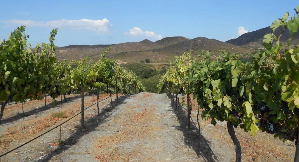 Carter Estate Winery and Resort | restaurant | 34450 Rancho California Rd, Temecula, CA 92591, USA | 8448512138 OR +1 844-851-2138