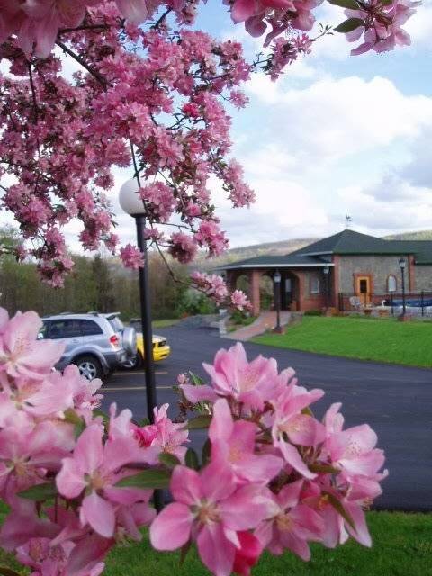 My Fathers Place | night club | 5690 NY-7, Oneonta, NY 13820, USA | 6074329112 OR +1 607-432-9112