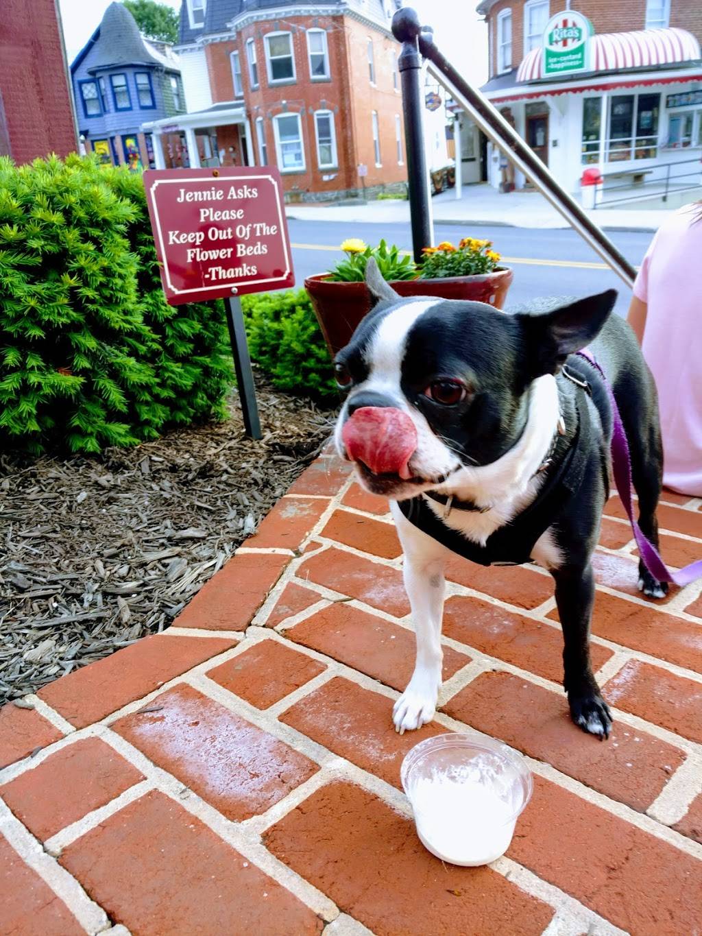 Ritas Italian Ice & Frozen Custard | restaurant | 523 Baltimore St, Gettysburg, PA 17325, USA | 7173389090 OR +1 717-338-9090