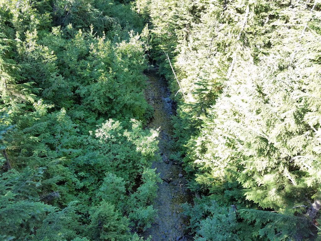 Alpine Inn | restaurant | 33818 Crystal Mountain Blvd, Enumclaw, WA 98022, USA | 3606632262 OR +1 360-663-2262