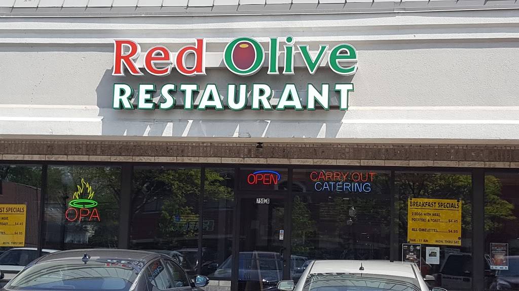 Red Olive Restaurant - Ferndale | restaurant | 750 W Nine Mile Rd, Ferndale, MI 48220, USA | 2489653935 OR +1 248-965-3935