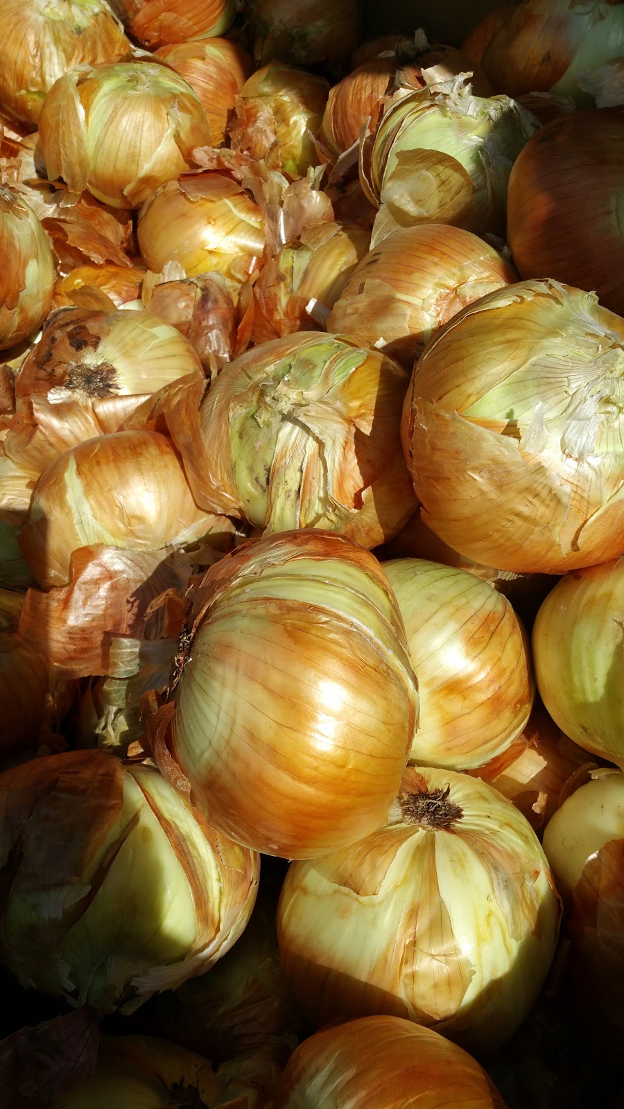 Coquille Valley Produce & Deli | meal takeaway | 454 OR-42, Coquille, OR 97423, USA | 5413963742 OR +1 541-396-3742