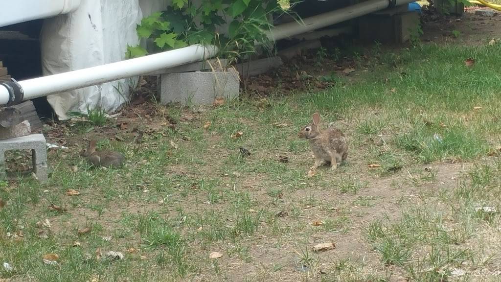 The Boat Dock Café | restaurant | 2401 Hilton Rd, Grass Lake, MI 49240, USA | 5172570338 OR +1 517-257-0338