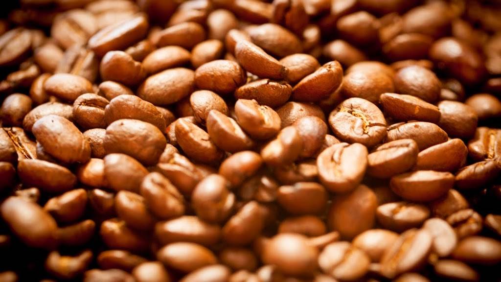 Groundwork Coffee Co. | cafe | 671 Rose Avenue, Venice, CA 90291, USA | 3106648830 OR +1 310-664-8830