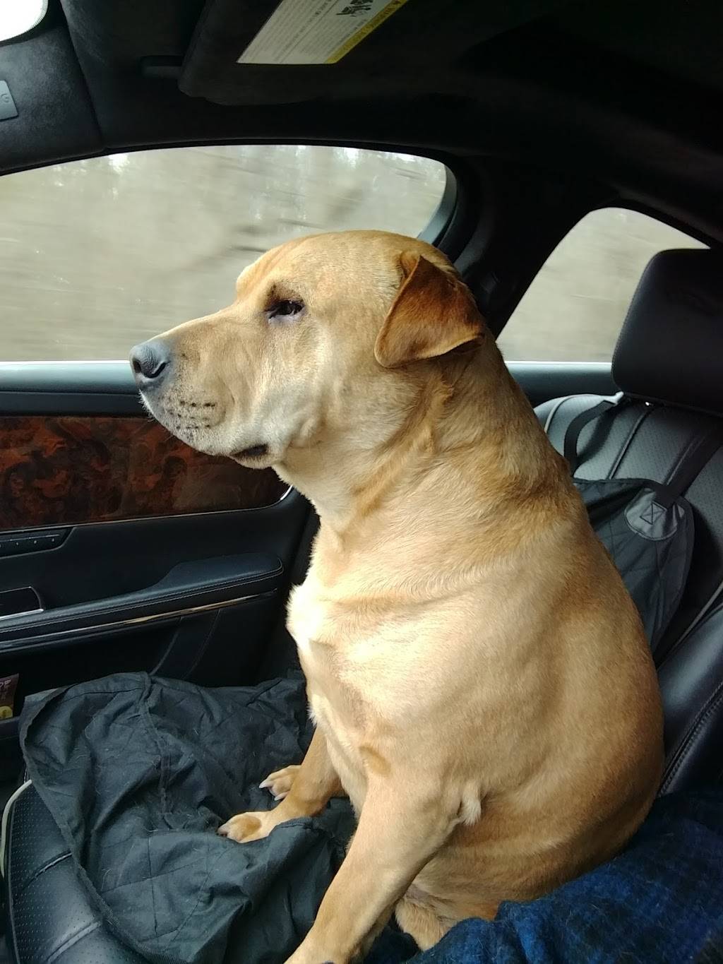 Isolas To Go | meal delivery | 715 Rochester Rd, Leonard, MI 48367, USA | 5863362100 OR +1 586-336-2100