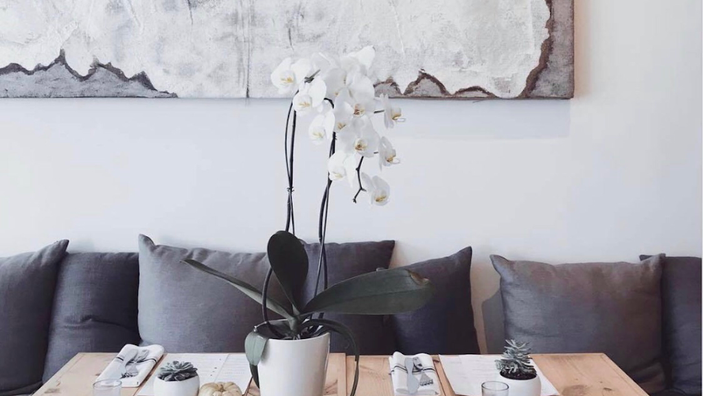 Pure Food and Juice | restaurant | Center 1 3524, S Peoria Ave, Tulsa, OK 74105, USA | 9183928090 OR +1 918-392-8090