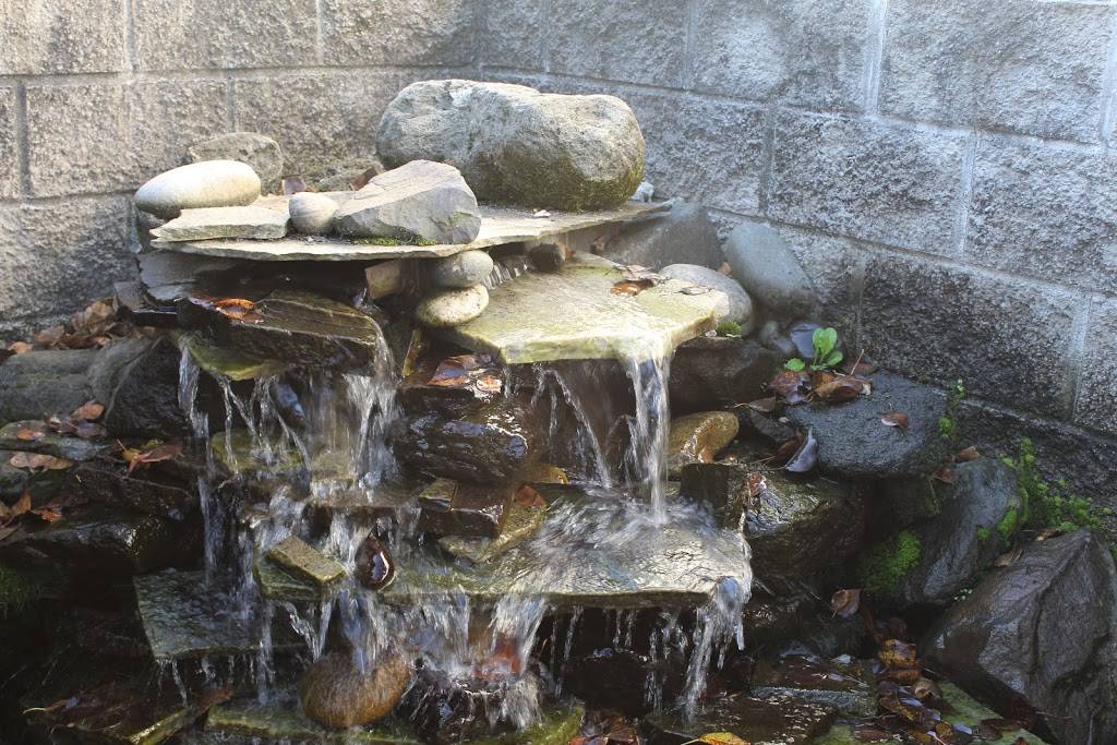 Hall Street Tavern and Grill | restaurant | 8220 SW Hall Blvd, Beaverton, OR 97008, USA | 5034301488 OR +1 503-430-1488