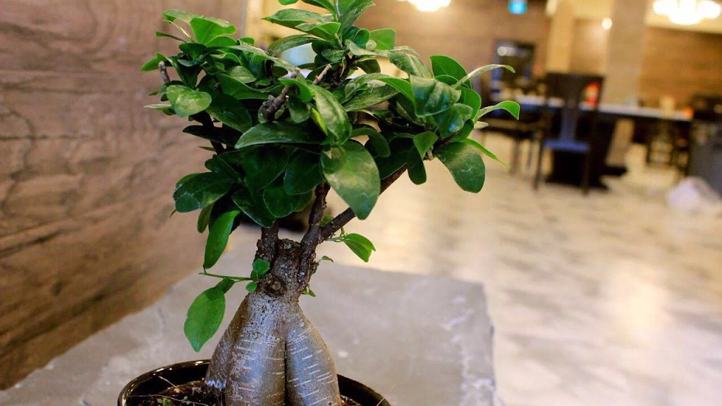 北上广火锅 BSG Hot Pot | restaurant | 3560 Victoria Park Ave, North York, ON M2H 3S3, Canada | 4165516656 OR +1 416-551-6656