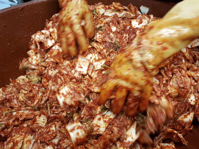 Kimchi Korean Taste | restaurant | 1199 Amboy Ave, Edison, NJ 08837, USA | 9082173344 OR +1 908-217-3344