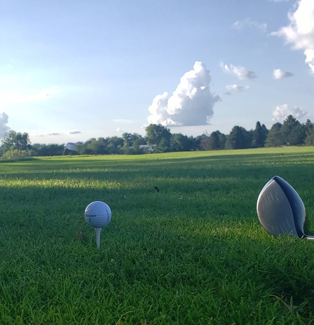 Don Williams Golf Course Club House | restaurant | 600 H Ave, Pilot Mound, IA 50223, USA | 5153539225 OR +1 515-353-9225