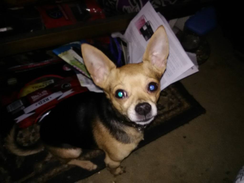 Ems Place | restaurant | 6177 US-19E, Hampton, TN 37658, USA | 4237253346 OR +1 423-725-3346