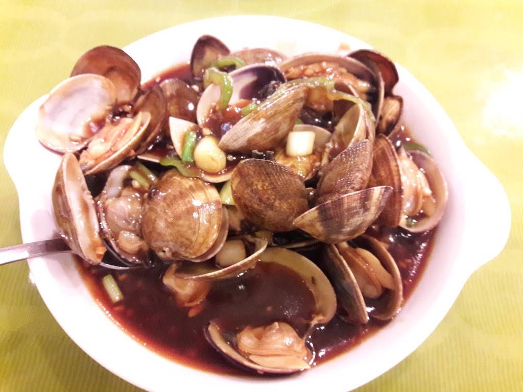 City Cafe | cafe | 5603 8th Ave, Brooklyn, NY 11220, USA | 7188518208 OR +1 718-851-8208