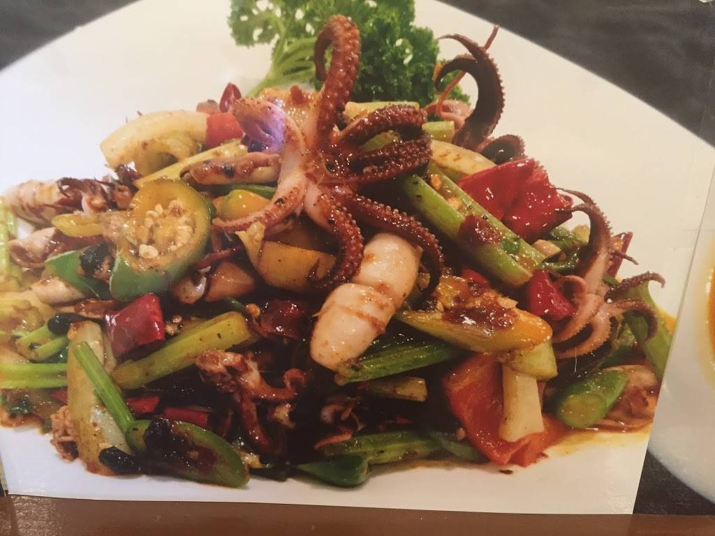 Szechuan Chili Restaurant | restaurant | 471 Saratoga Ave, San Jose, CA 95129, USA | 4089845788 OR +1 408-984-5788