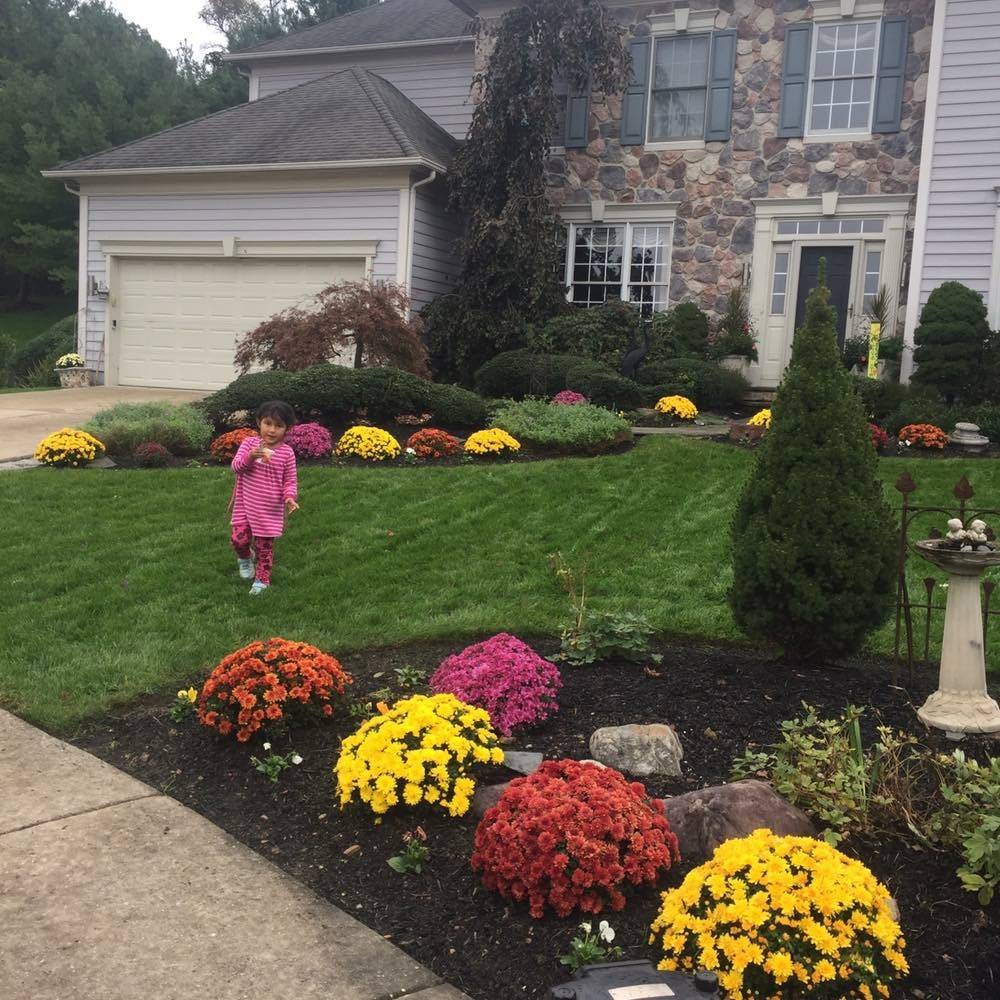 Luis landscaping | restaurant | 323 Lindley Ave, Philadelphia, PA 19120, USA | 2159004099 OR +1 215-900-4099