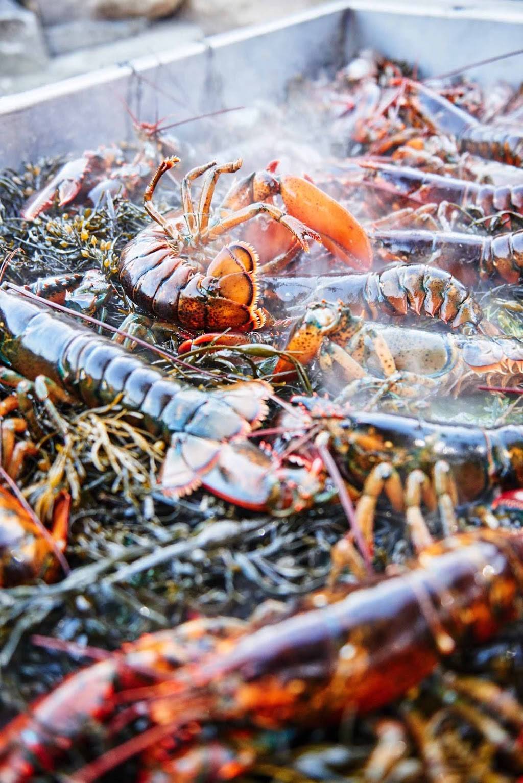 Boothbay Craft Brewery | restaurant | 301 Adams Pond Rd, Boothbay, ME 04537, USA | 2076333411 OR +1 207-633-3411