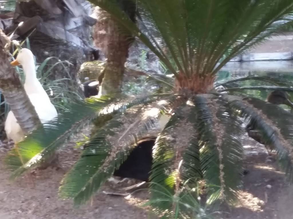 Tropics Cantina | restaurant | 1404 Vacation Rd, San Diego, CA 92109, USA | 8582404913 OR +1 858-240-4913