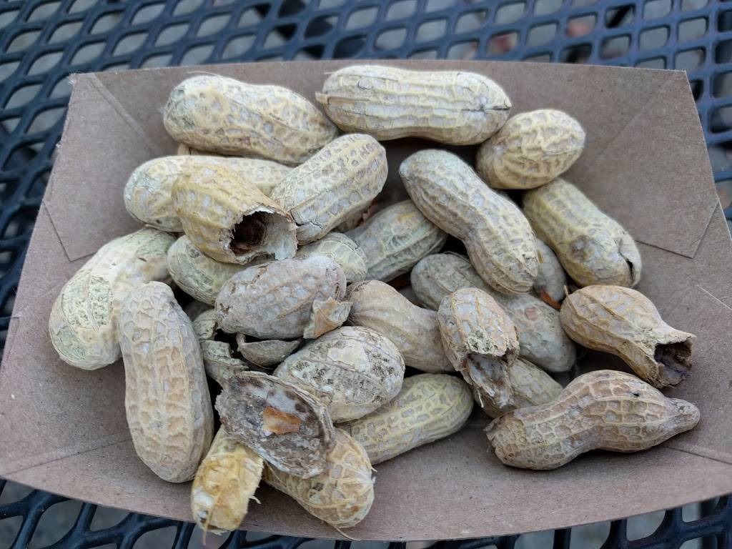 Five Guys | meal takeaway | 15784 Shady Grove Rd, Gaithersburg, MD 20877, USA | 3018693711 OR +1 301-869-3711