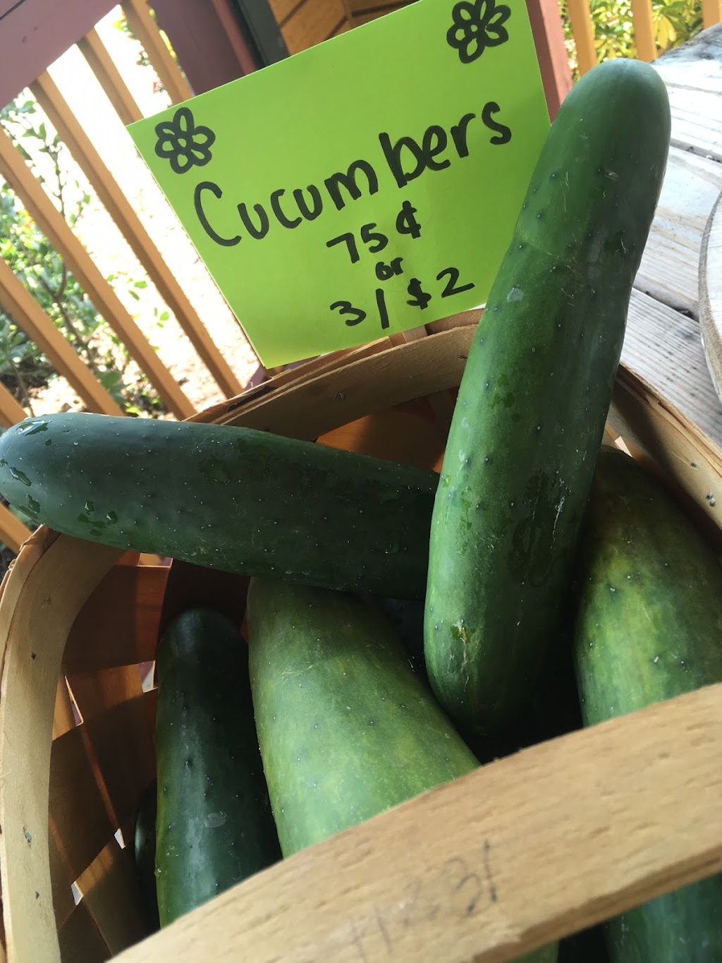 Sunflower Discount Grocery Liquidation Outlet | restaurant | 1001 Palm Ave, North Fort Myers, FL 33903, USA | 2399950065 OR +1 239-995-0065