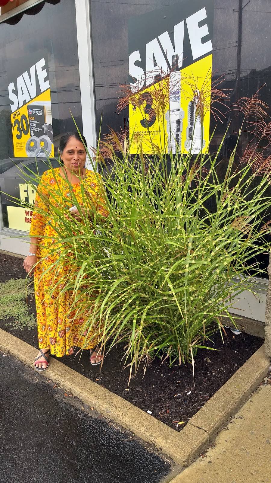 Subway | restaurant | 355 W Pulteney St, Corning, NY 14830, USA | 6079366782 OR +1 607-936-6782