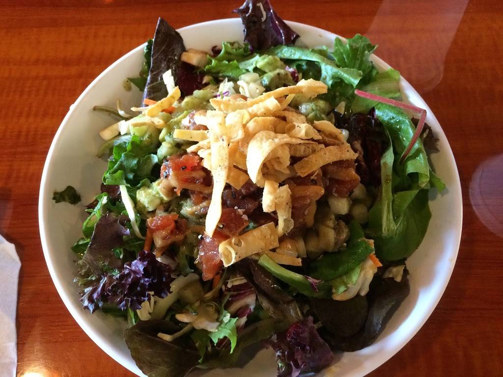 Zs Amazing Kitchen | restaurant | 1400 US-17 #1, North Myrtle Beach, SC 29582, USA | 8436631999 OR +1 843-663-1999