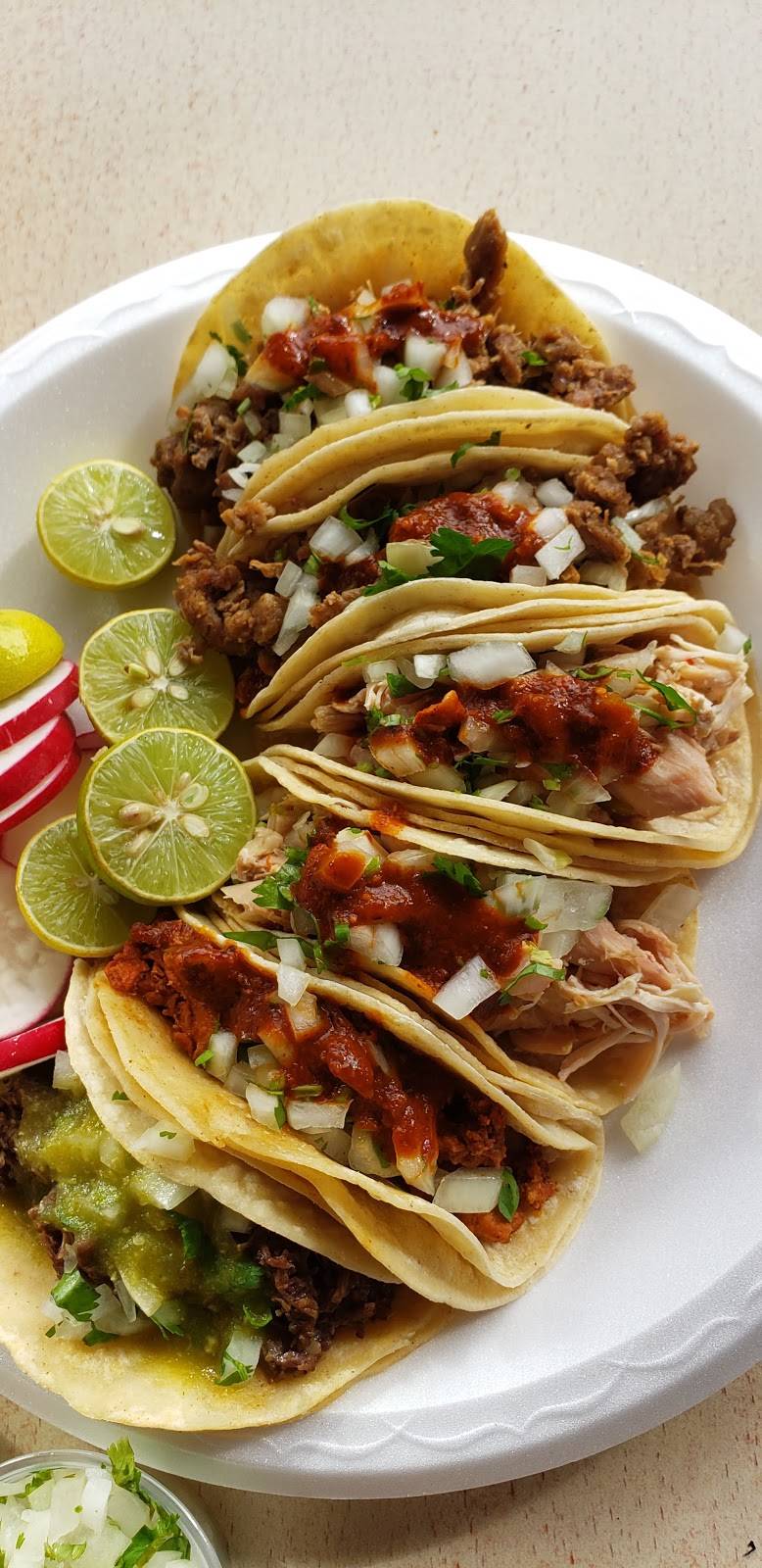 El Burrito Panzon | restaurant | 2108 Beverly Blvd, Los Angeles, CA 90057, USA | 2134135076 OR +1 213-413-5076