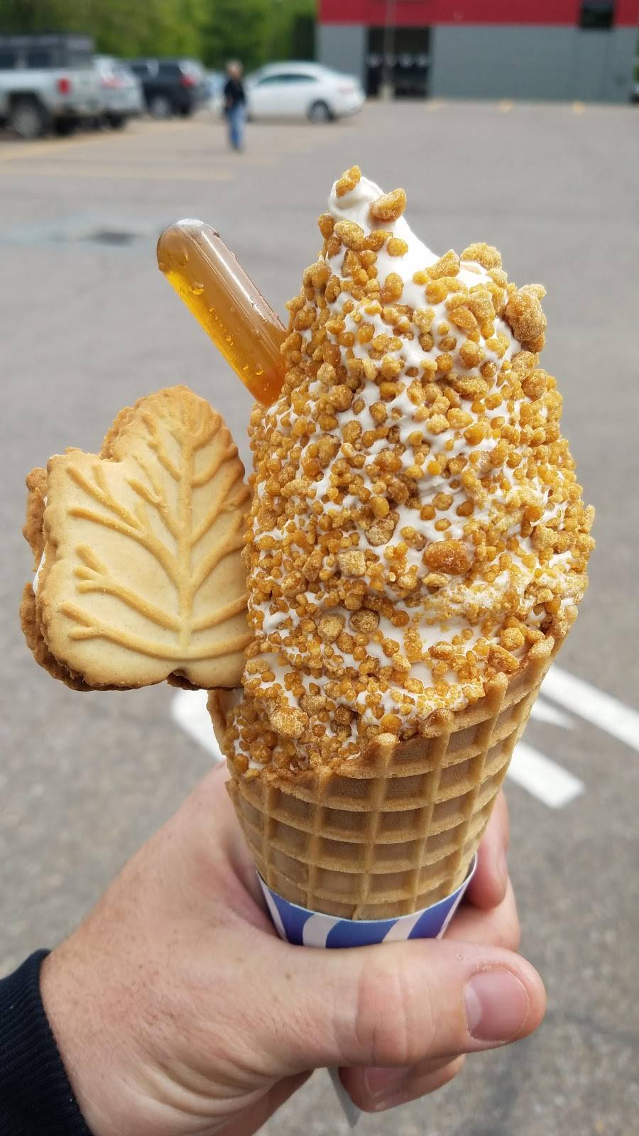 Als French Frys | restaurant | 1251 Williston Rd, South Burlington, VT 05403, USA | 8028629203 OR +1 802-862-9203