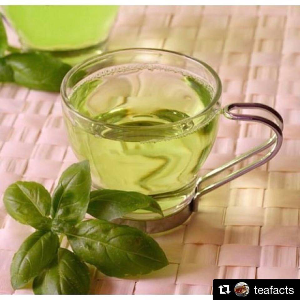 Zama Tea and Kombucha | cafe | 434 El Camino Real, Tustin, CA 92780, USA | 7148843449 OR +1 714-884-3449