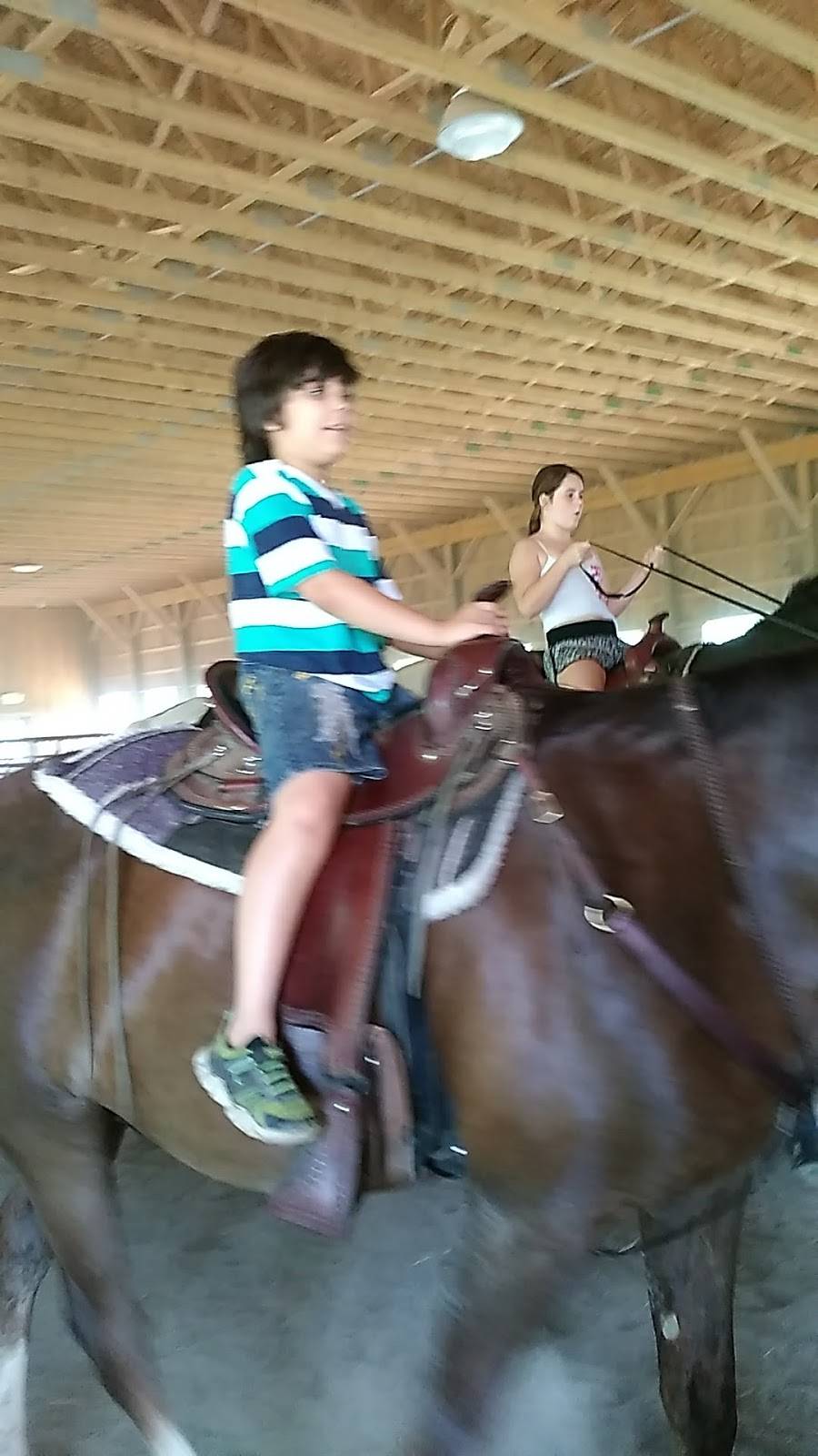 Doms Pizzeria | restaurant | 502 Cavitt Ave, Trafford, PA 15085, USA | 4123723667 OR +1 412-372-3667