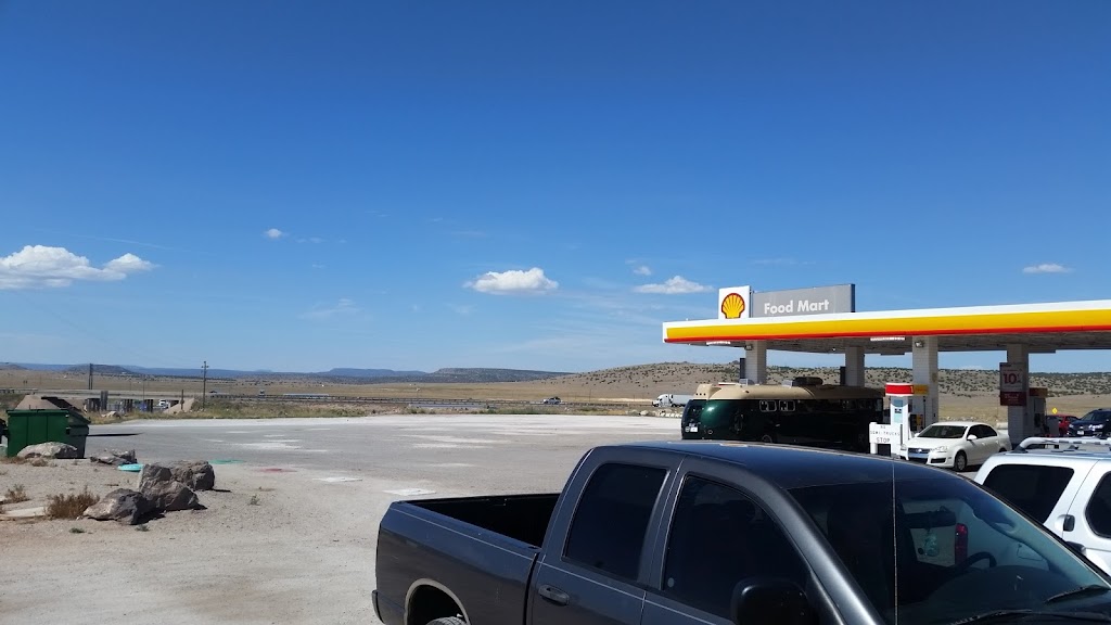 Shell | restaurant | I-40BL Exit 123, Seligman, AZ 86337, USA | 9284223586 OR +1 928-422-3586