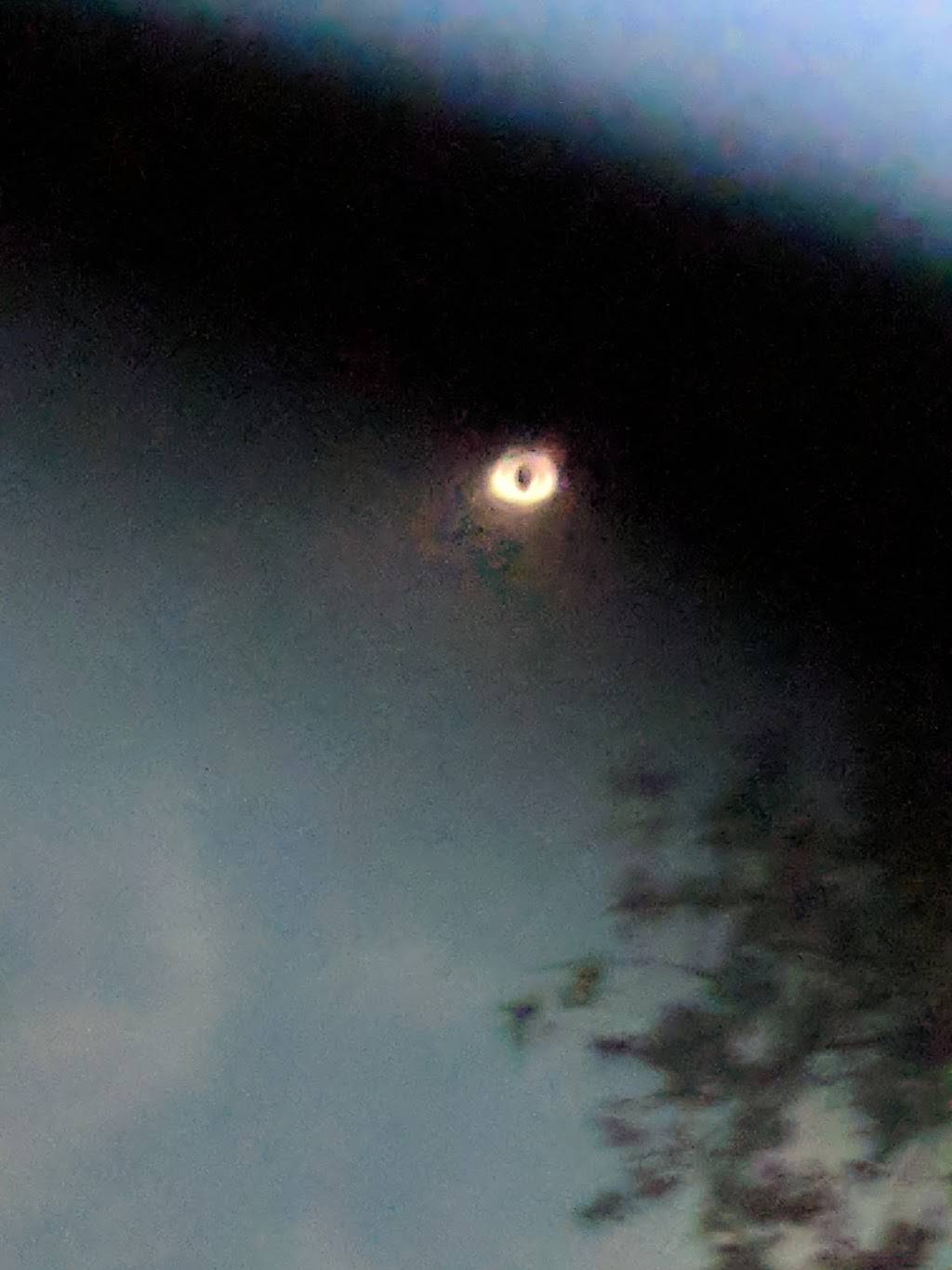 Old Bus Stop Coffee Shop & Art Gallery | restaurant | 545 N Commercial Ave, St Clair, MO 63077, USA | 3146066136 OR +1 314-606-6136