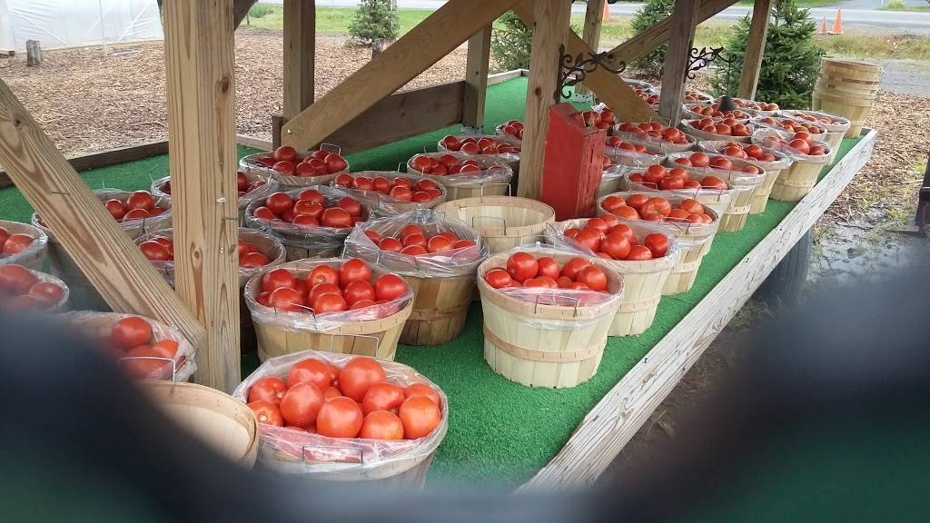 Brightlys Farm Market | bakery | 525 Drake Rd, Hamlin, NY 14464, USA | 5856364337 OR +1 585-636-4337