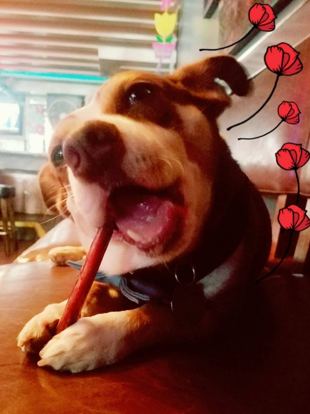 Thailand Restaurant | restaurant | 438 Castro St, San Francisco, CA 94114, USA | 4158636868 OR +1 415-863-6868