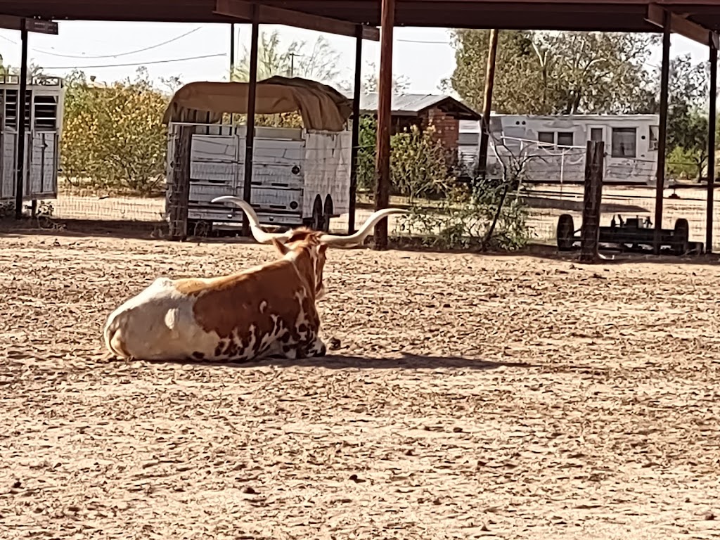 Freds Arena Bar & Steakhouse | restaurant | 9650 S Avra Rd, Tucson, AZ 85736, USA | 5208837337 OR +1 520-883-7337